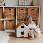 乐鱼体育1深耕安全稳定平台,畅享观赛领域,用心服务每一位用户。 - 乐鱼体育1
